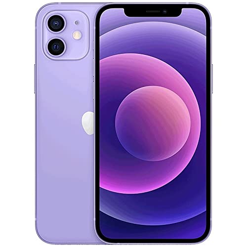 CELULAR IPHONE 11 DE 256 GB
